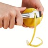 DCdray Stainless Steel Lemon Grater Zester with Orange Citrus Peeler