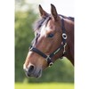 Shires - MJ Ainge and Co Ltd Greenguard Headcollar in