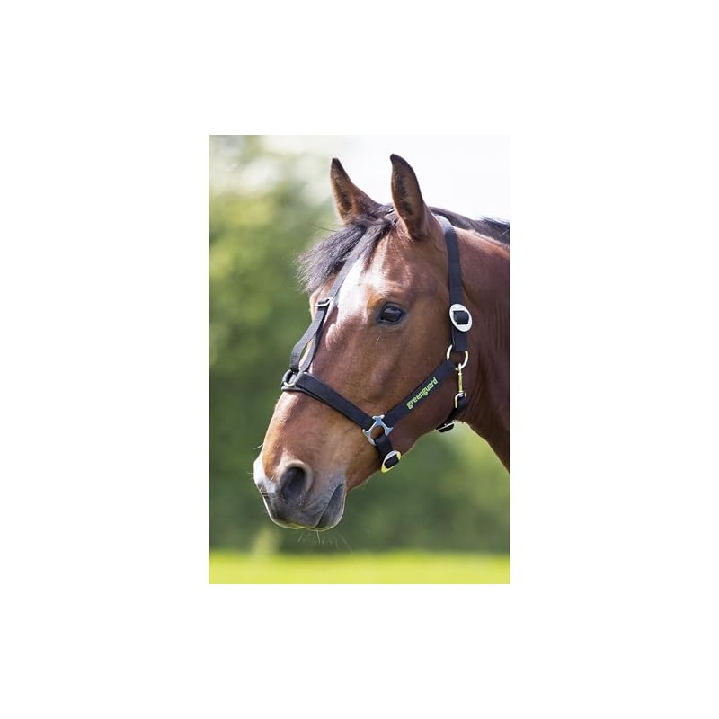 Shires - MJ Ainge and Co Ltd Greenguard Headcollar in