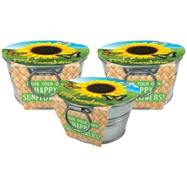 Unique Gardener Grow Your Own Mini Sunflowers Plant Seeds 3-Pack, DIY Indoor Succulents and Live Plants for Home or Garden Planting, Pail of Sunshine