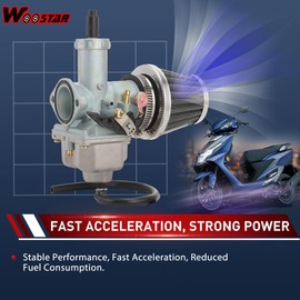 WOOSTAR PZ30 Carburetor 30mm with Air Filter Fuel Filter Hose Line Intake Manifold Gaskets Replacement for 150cc 175cc 200cc 250cc 300cc Scooter Moped Dirt Pit Bike ATV 4 Wheeler Quad