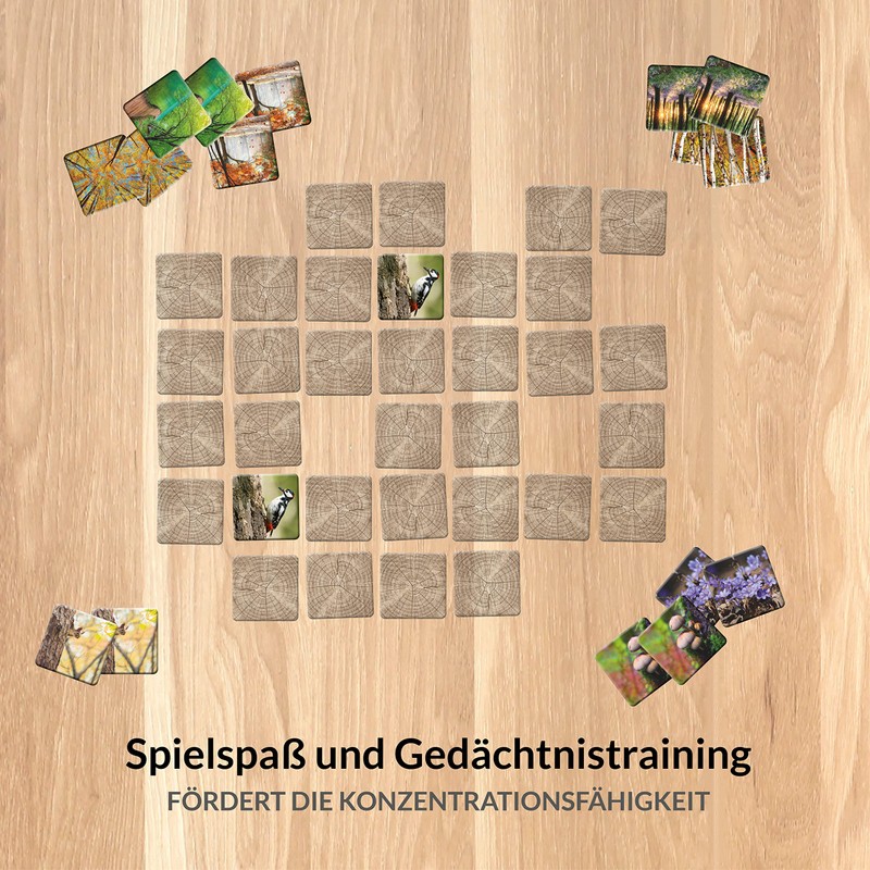 Starnberger Spiele Memory Game