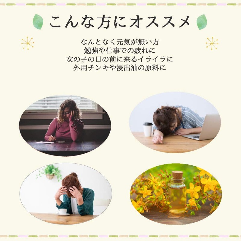 St. John's Wart Tea 1.5g x 15 Tea Bags Western