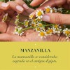 Shampoo Herbal Essences Brillo Manzanilla & Pasiflora 400 ml