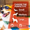 King Sunglasses for Medium-Sized Dog - UV Protective Lenses, Debris