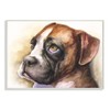 Stupell Industries Boxer Puppy Dog Eyes Adorable Pet Portrait, Design