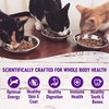 Wellness Healthy Indulgence Shreds Adult Wet Cat Food, Natural, Protein-Rich,