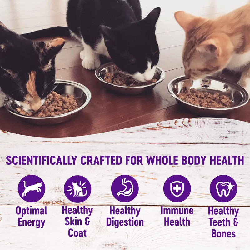 Wellness Healthy Indulgence Shreds Adult Wet Cat Food, Natural, Protein-Rich,