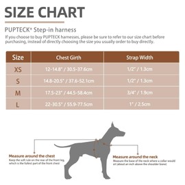 PUPTECK Arnés para perro, suave, ajustable, de nailon básico, para cachorros, para caminar al aire libre, con etiqueta de identificación