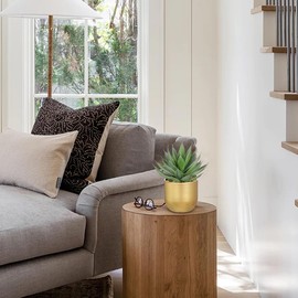 Briful Succulents Plants Artificial for Home Decor, Realistic Potted Fake Agave Plant, Gold Pot, Cute Aloe Maguey Faux Plant, Shelf Tables Decor, Modern Farmhouse Home Kitchen Decorations