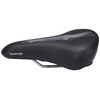 Terry Fisio GT Woman Saddle with Light FeC Steel Frame