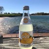 GuS Grown-Up Soda | Lightly Sweetened Sodas with Real Juices