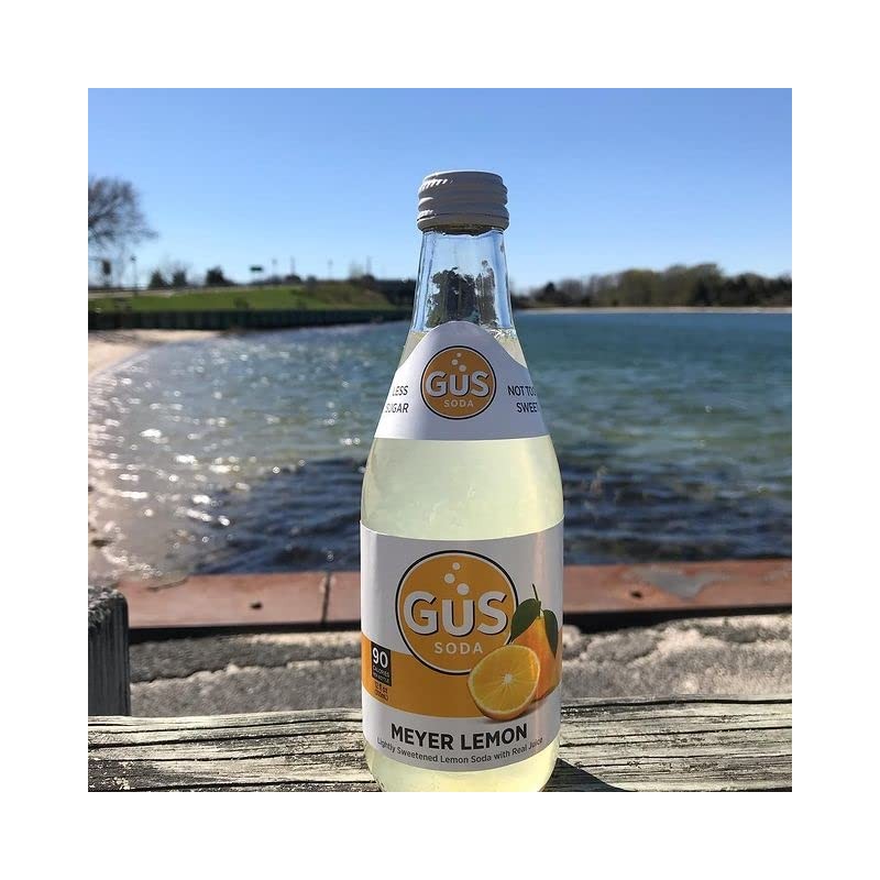 GuS Grown-Up Soda | Lightly Sweetened Sodas with Real Juices