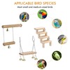 Parrot Swing & Perch Toys for Bird Cages - Hanging