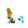 CannaBrush Trimming Brush Ergonomic Hand Brush for Leaf Removal FAST &