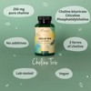Vegavero Choline Complex | Liver Health Support* | Choline Bitartrate,