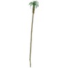 JTT Professional Series Palm Trees 6" HO/O Scale - 2