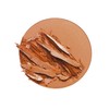 Studio Gear Dual Identity Wet/Dry Foundation Nutmeg