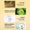 AESTHTANY 6-Step Refresher Course Skincare Set For Dry Combination Skin