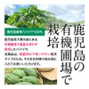 オーガランド 酵素の恵み（60g）青パパイヤ酵素 パパイヤ酵素 青パパイヤ パウダー鹿児島産 無農薬 無添加 粉末