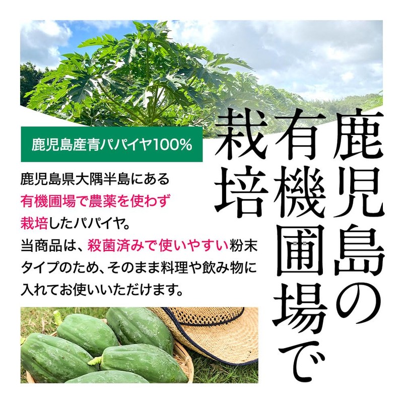 オーガランド 酵素の恵み（60g）青パパイヤ酵素 パパイヤ酵素 青パパイヤ パウダー鹿児島産 無農薬 無添加 粉末