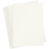 Cartoncino colorato, A6 105x148 mm, 180 g, avorio, 100fogli