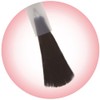 Canmake Foundation Colors 11 Creamy Beige 0.3 fl oz (8
