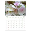 Hydrangeas in the Garden (Monthly Wall Calendar 2026 11.7" x