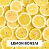 Dwarf Lemon Bonsai Tree Seeds, 20 Seeds, Grow a Delicious