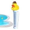Pool Thermometers Floating Easy Read | Fish Tank Thermometers |
