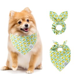 E-Clover Summer Lemon Dog Bandanas & Matching Scrunchie Set Green Stripe Dog Scarf Bibs Pet Bandana with Bow Tie for Small Dogs Puppy Owner Mom