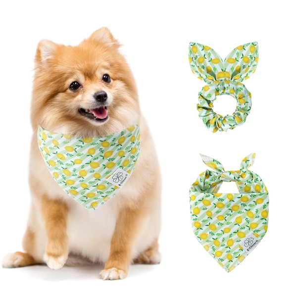 E-Clover Summer Lemon Dog Bandanas & Matching Scrunchie Set Green