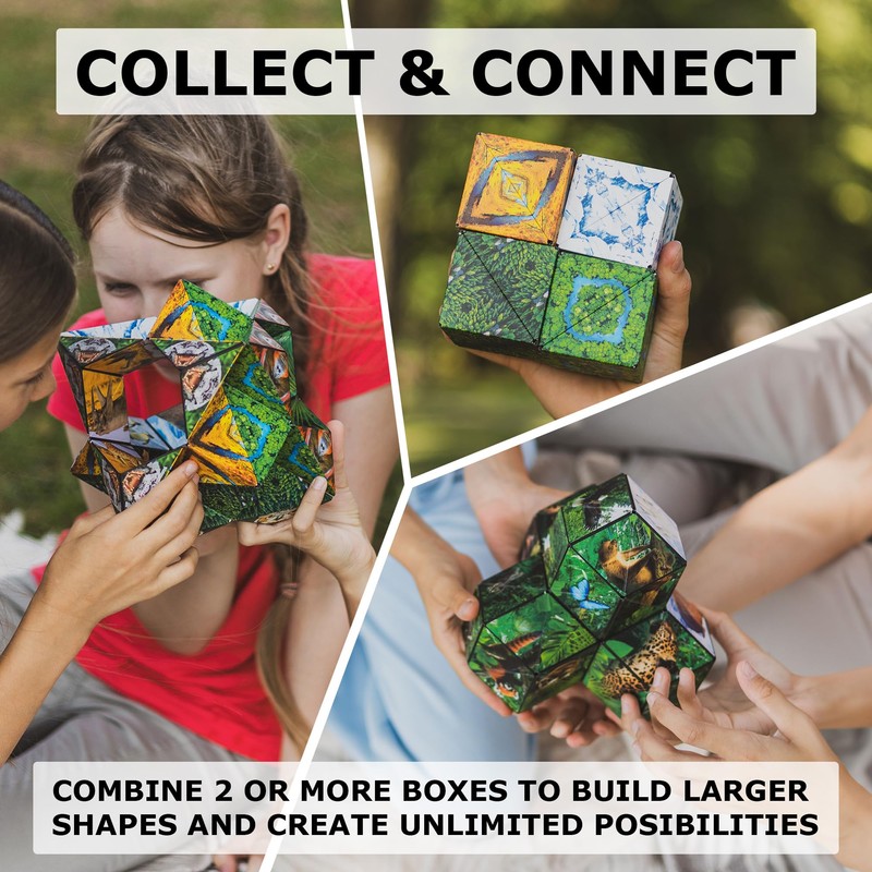 SHASHIBO Bundle of 3 - Jungle, Artic and Forest