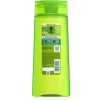 Garnier Fructis Sleek & Shine Soothing Shampoo Keratin + Argan