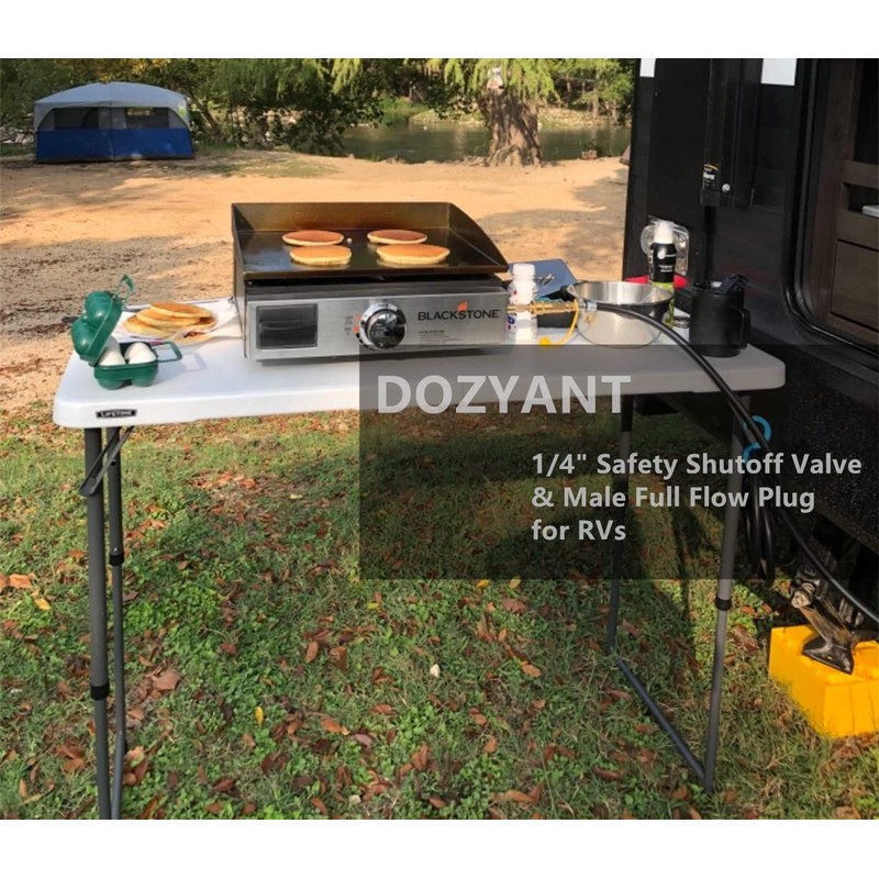 DOZYANT 20 feet Low Pressure Propane Quick-Connect Hose, RV Quick