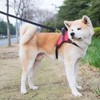 TAIL UP Dog Harness, Oxford, Soft, Non-Restraint, Breathable, Adjustable, Pulling