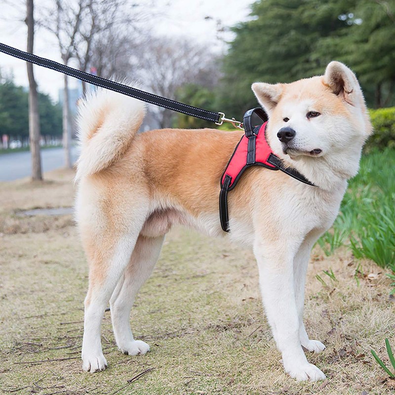 TAIL UP Dog Harness, Oxford, Soft, Non-Restraint, Breathable, Adjustable, Pulling
