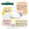Horse Oil Cream, Unscented, 0.4 oz (10 g), 3 Pieces,