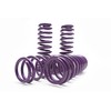D2 PRO Lowering Springs 2.0”F/1.8”R Accord 2008-2012