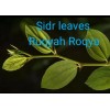 dried Sidr leaves,lote Leaves Ruqyah, Roqya, Destroy Magic and Evil