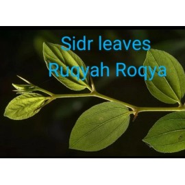 dried Sidr leaves,lote Leaves Ruqyah, Roqya, Destroy Magic and Evil Eye,2 oz.