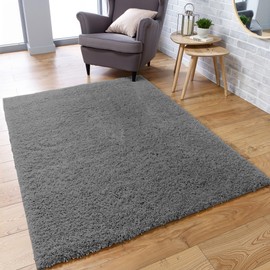DTXDTech Luxury Shaggy Rugs for Living Room & Bedroom - Super Soft Anti-Slip Carpet, Fluffy Area Rug with Thick Pile, Rugs Living Room Non Shedding(80x50cm,Dark Grey)