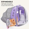 TOYSINTHEBOX Cat Backpack Carrier Bubble Expandable Foldable Breathable Pet Carrier
