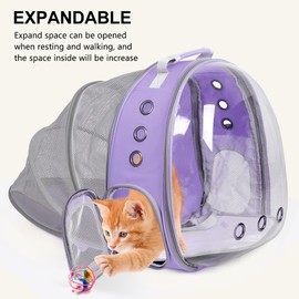 TOYSINTHEBOX Cat Backpack Carrier Bubble Expandable Foldable Breathable Pet Carrier Dog Carrier Backpack for Large Big Cats Hiking, Travelling, Camping, Up to 22 Lbs (Purple)