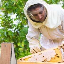 Fdit PVC Leather Plywood Box Bee Smoker Bellow Beekeeping Equipment Replacement Beekeeping Tool Beekeeping Supplies Tools