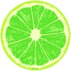 Lime Fruit Slice Citrus Kitchen Wall Decal 24 in