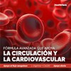 Suplemento Arginina Magnesio Glicinato Circulación Sanguínea Resveratrol Coenzima Q10 Pqq