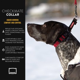 EzyDog Checkmate Martingale Collar for Dogs – Premium Nylon Training Dog Collar for Easy Control with no Choking (Large, Orange)