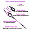 Love Dream 5 FT/6 FT Strong Dog Leash with Comfortable