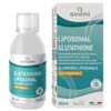 Bandini® Liposomal Glutathione + Vitamin C - Advanced Liquid Antioxidant